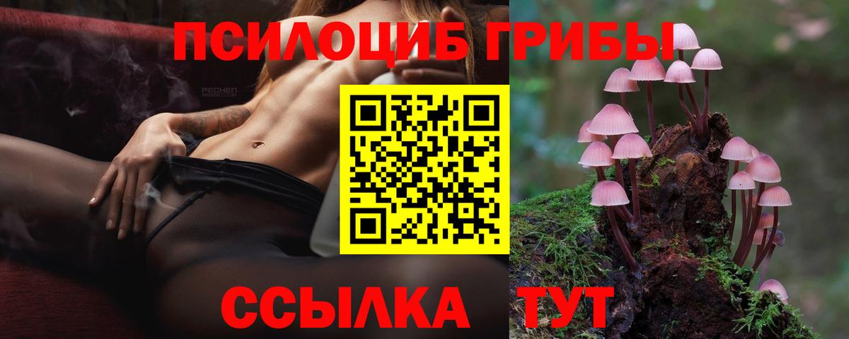Псилоцибиновые грибы ЛСД  Вход с VPN  Рассказово 